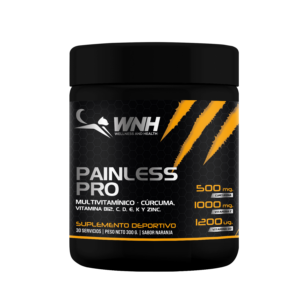 Multivitamínico Painless Pro x 300g